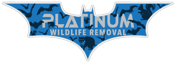 Wildlife Removal Seneca County